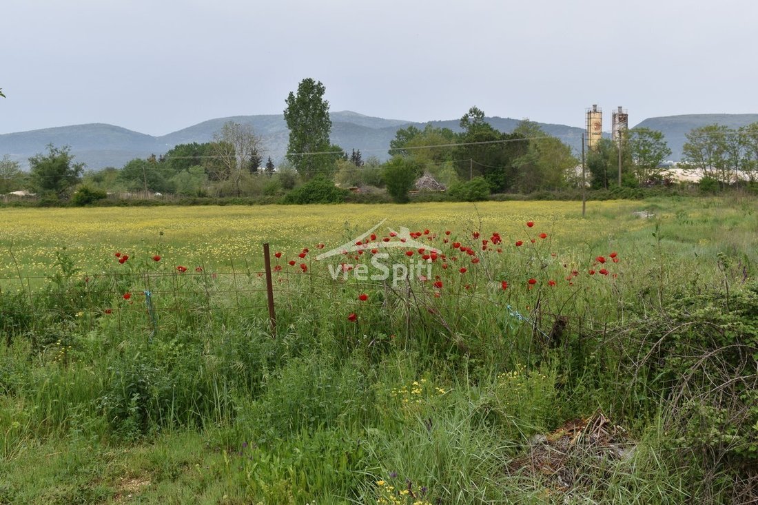 Land in Epirus, Epirus and Western Macedonia, Greece 2 - 14522677