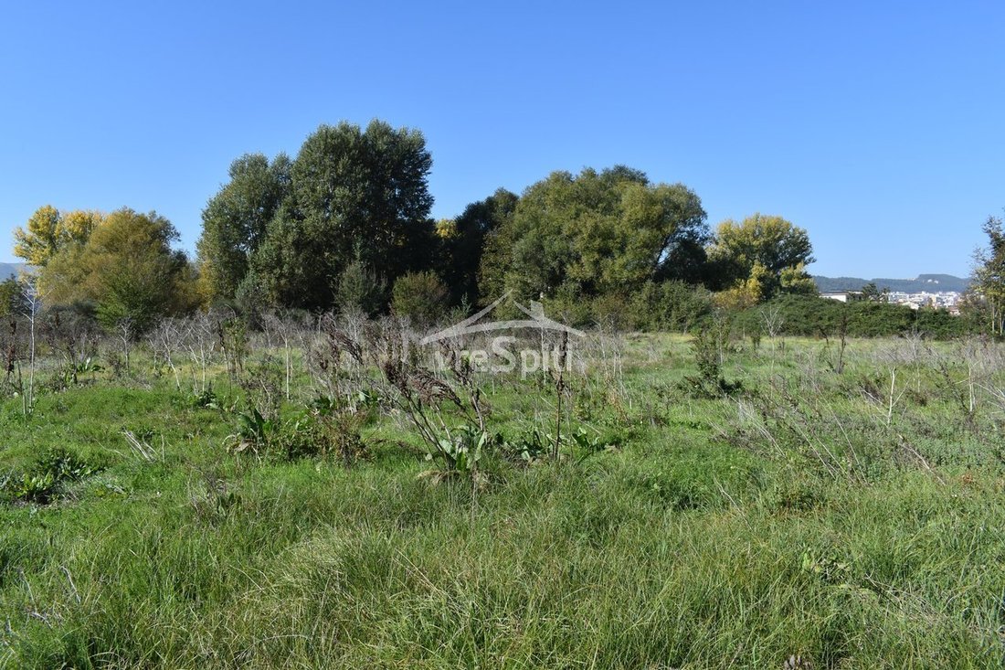 Land in Ioanniton, Epirus and Western Macedonia, Greece 4 - 14522652