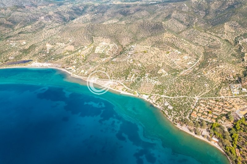 Ermioni, Peloponnese, Western Greece and the Ionian, Greece 4 - 14522495