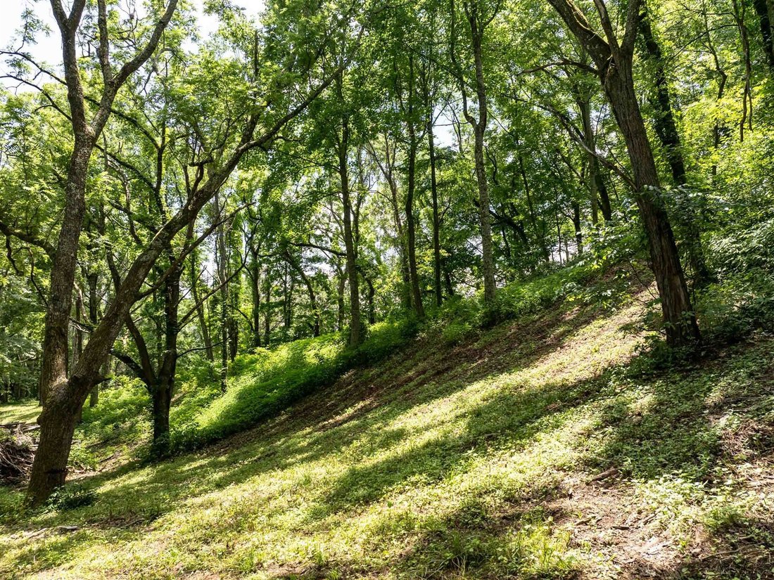 Land in Waynesville, North Carolina, United States 2 - 14523736