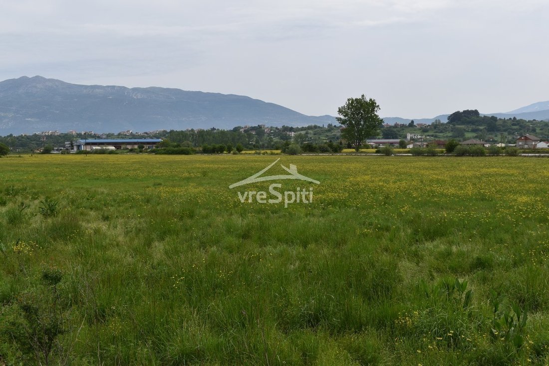 Land in Epirus, Epirus and Western Macedonia, Greece 1 - 14522677