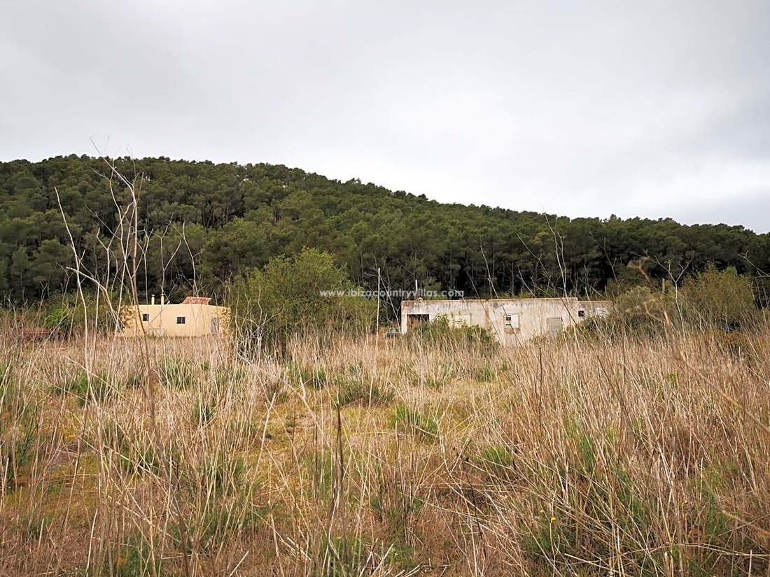 Terreno en San Mateo de Albarca, San Antonio Abad, Islas Baleares 5 - 14307260