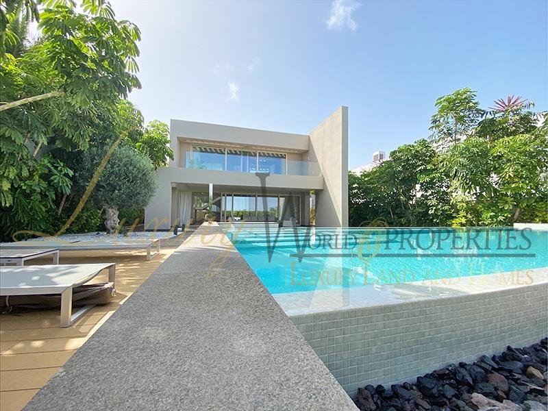 Villa in La Caleta, Adeje, Canary Islands 2 - 14524461