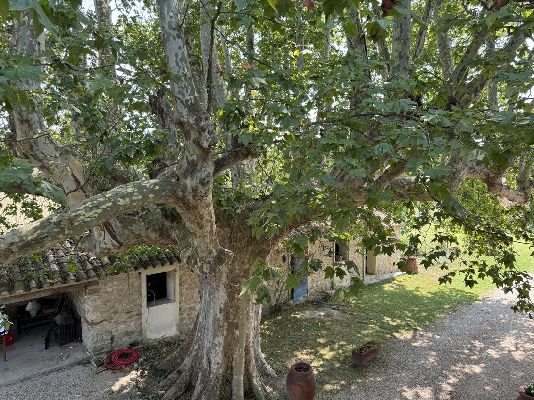 House in Secteur Nord, Pernes-les-Fontaines, France 5 - 14523005