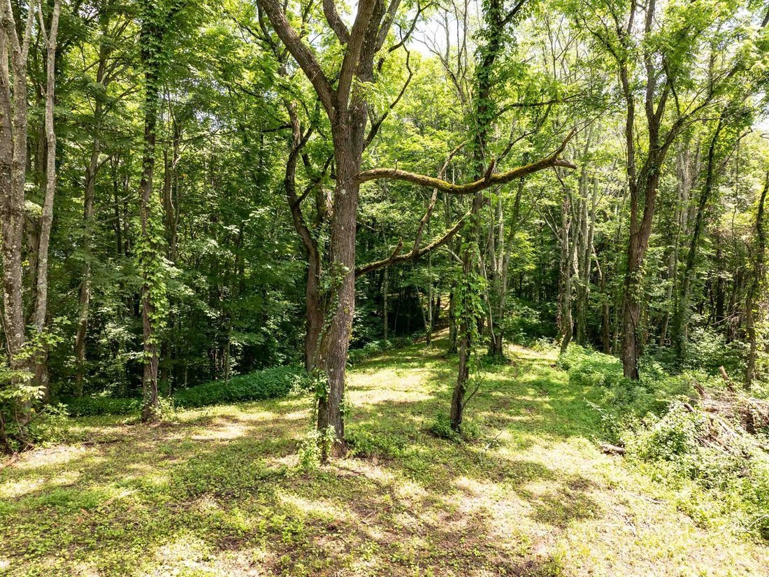 Land in Waynesville, North Carolina, United States 5 - 14523736