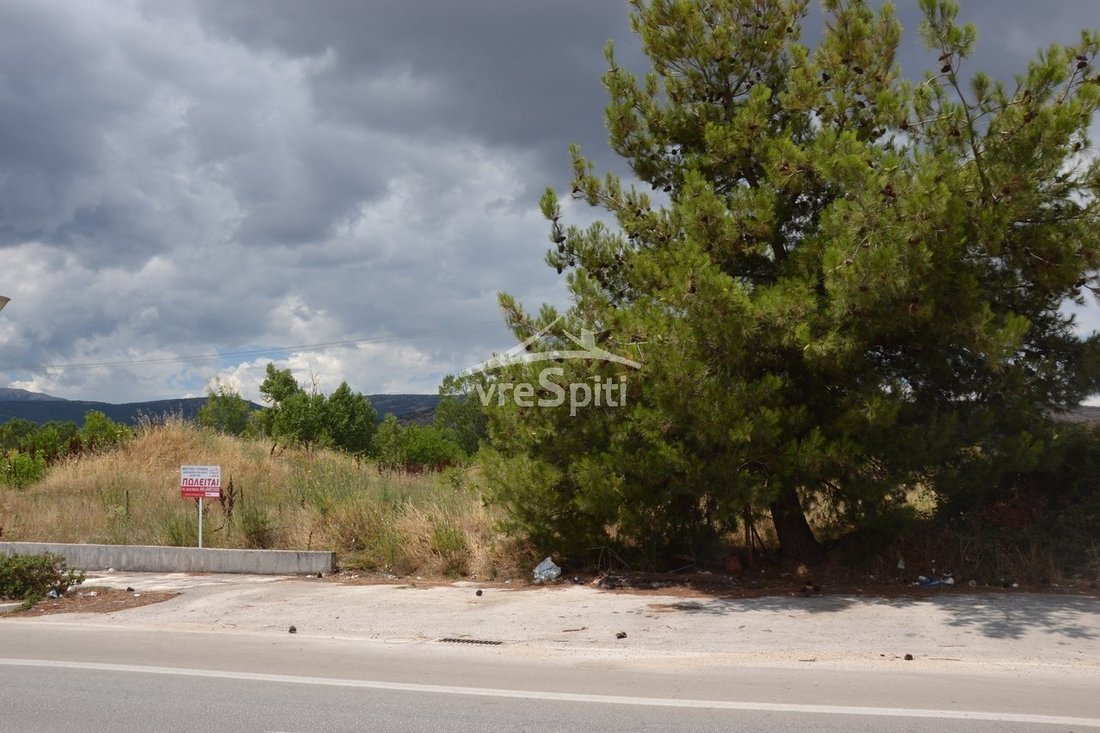 Land in Epirus, Epirus and Western Macedonia, Greece 4 - 14522631