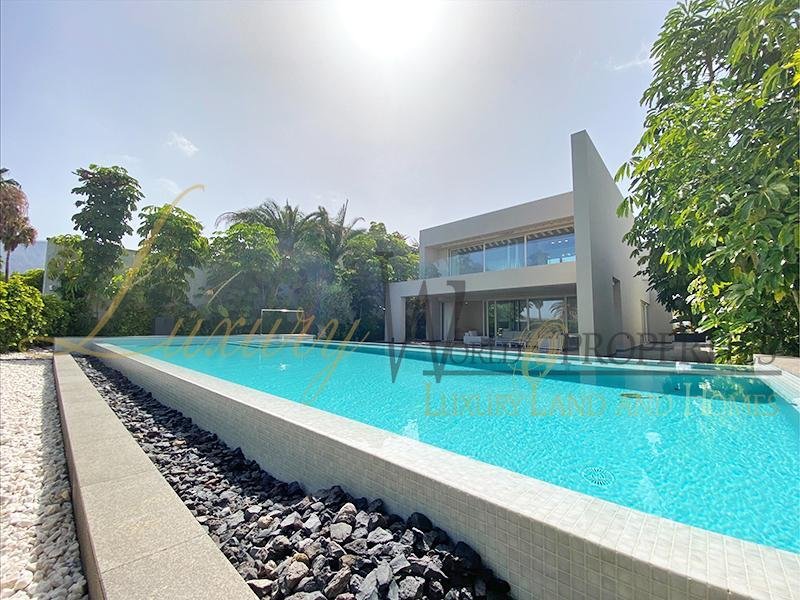 Villa in La Caleta, Adeje, Canary Islands 3 - 14524461