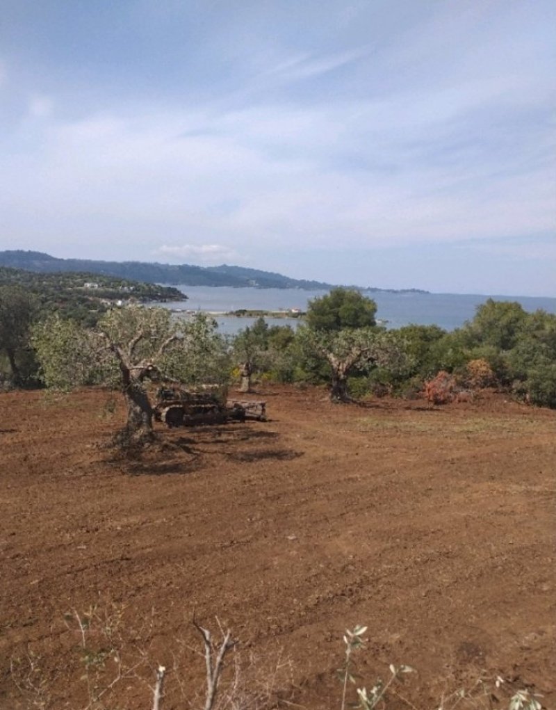 Land in Pallini Municipal Unit, Macedonia and Thrace, Greece 4 - 14525064