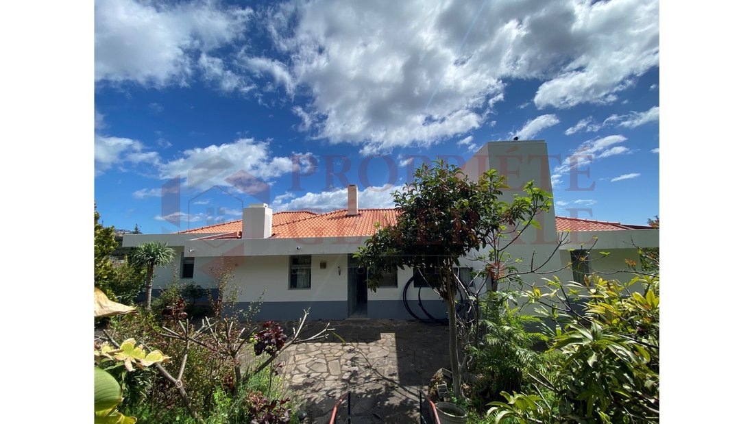 Farm Ranch in Funchal, Madeira, Portugal 3 - 12282715