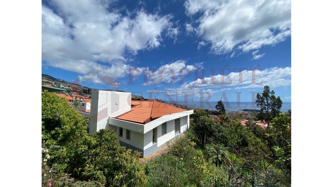 Farm Ranch in Funchal, Madeira, Portugal 5 - 12282715