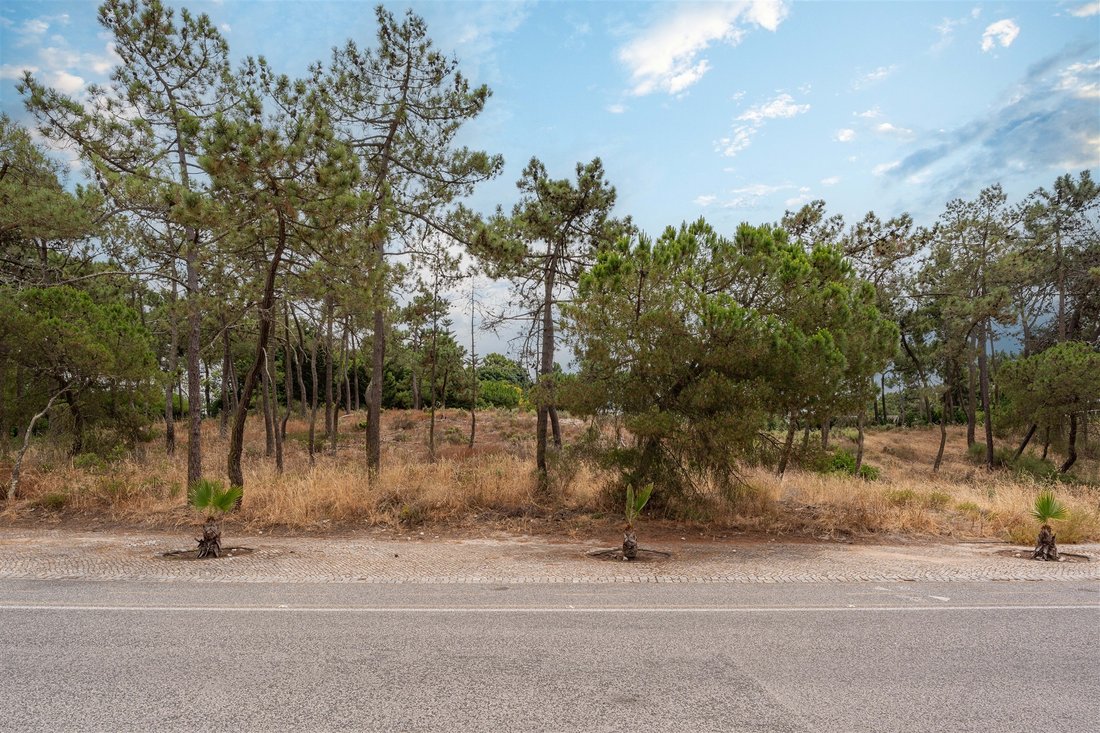 Land in Carvalhal, Setubal, Portugal 3 - 14529234