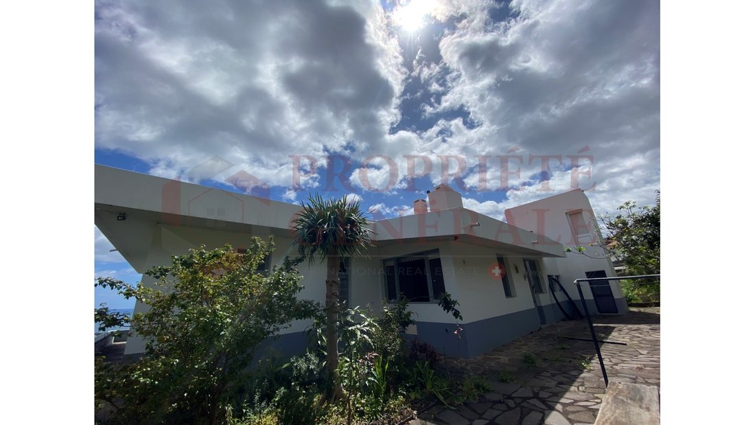 Farm Ranch in Funchal, Madeira, Portugal 4 - 12282715
