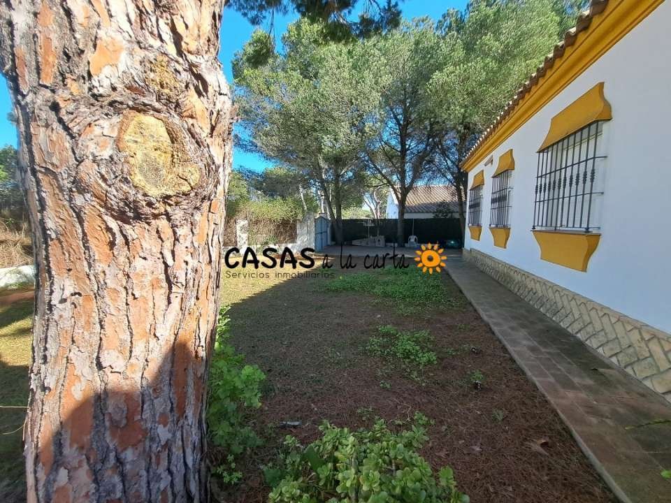 House in Roche, Conil de la Frontera, Andalusia 2 - 13779796