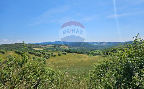 Terreno a Montecastelli Pisano, Toscana, Italia 1
