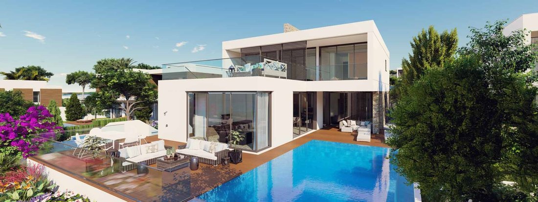 Villa in Chloraka, Paphos, Cyprus 2 - 14506417