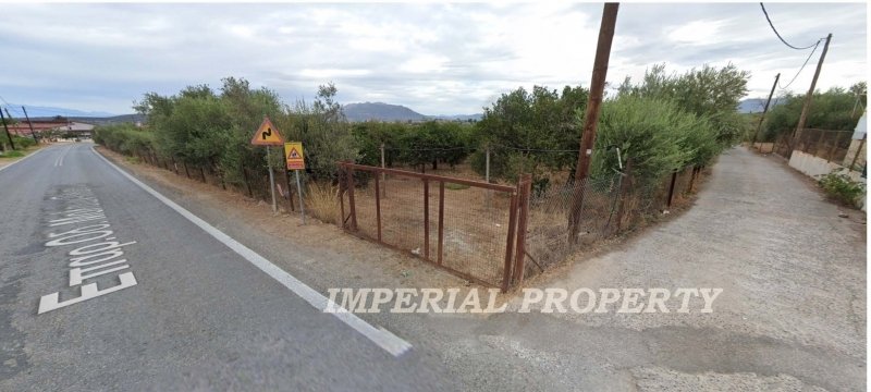 Land in Laconia, Peloponnese, Western Greece and the Ionian, Greece 4 - 14530649