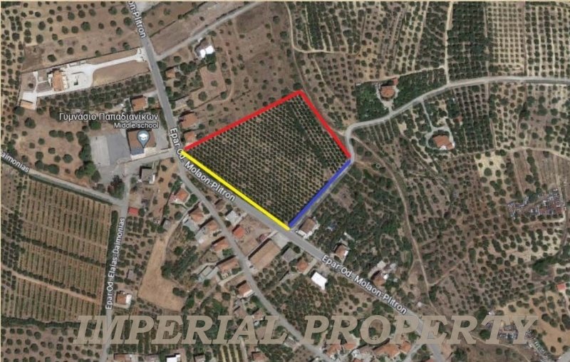 Land in Laconia, Peloponnese, Western Greece and the Ionian, Greece 1 - 14530649