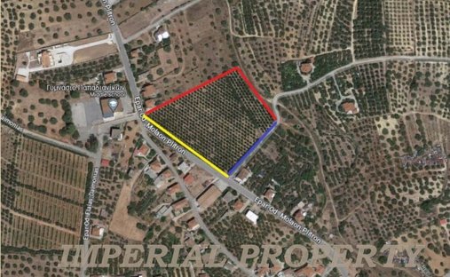 Land in Laconia, Peloponnese, Western Greece and the Ionian, Greece 1