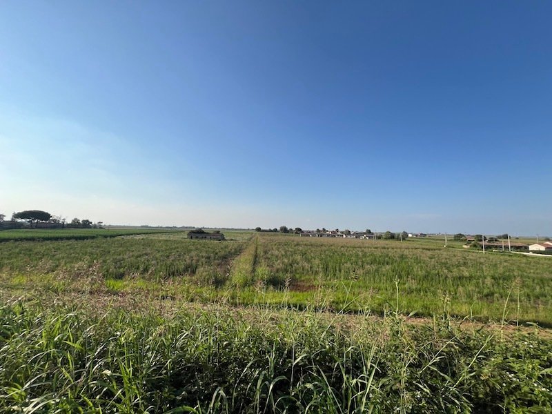 Land in Cavarzere, Veneto, Italy 4 - 14534145