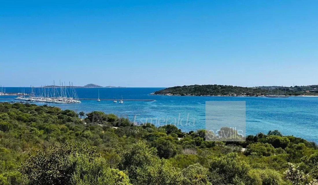 House in Porto Rotondo, Olbia, Sardinia 3 - 14533104