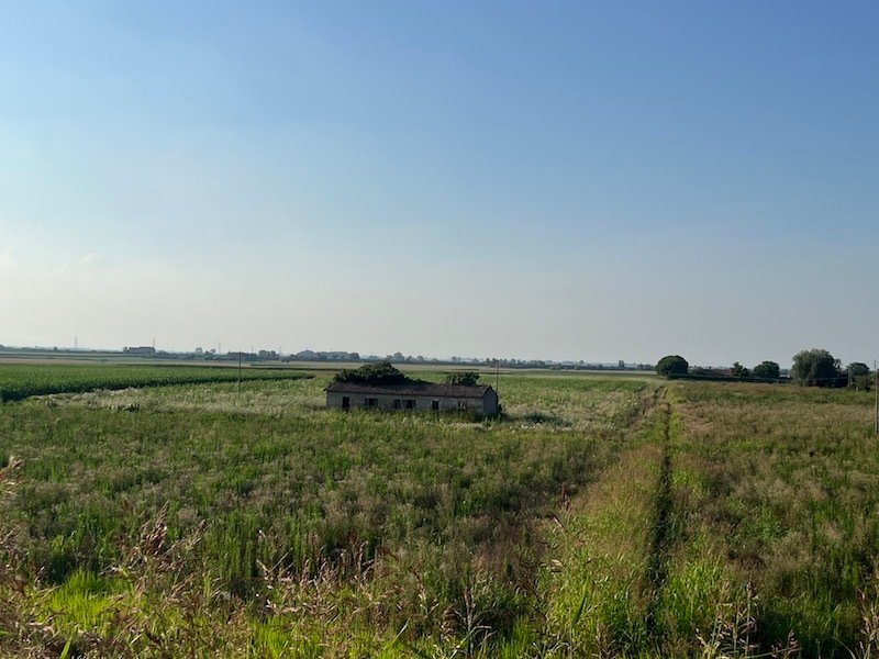 Land in Cavarzere, Veneto, Italy 5 - 14534145