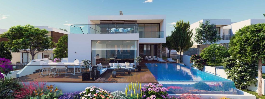 Villa in Chloraka, Paphos, Cyprus 4 - 14506431