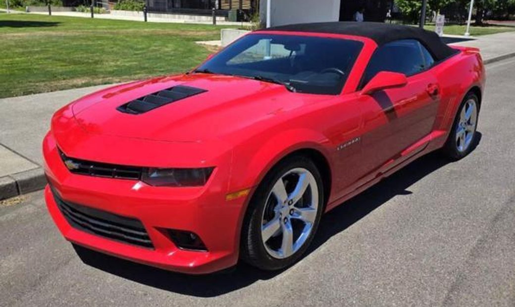 alexander wang turtleneck