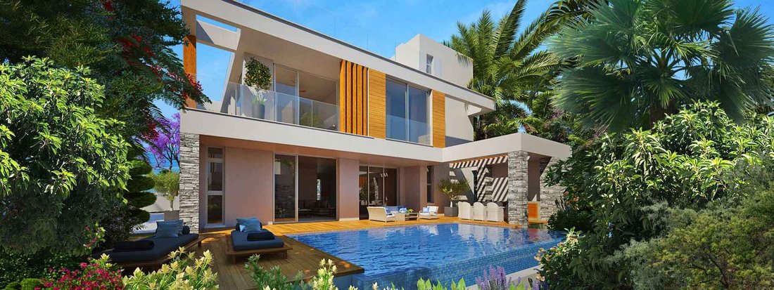 Villa in Paphos, Paphos, Cyprus 1 - 14506361