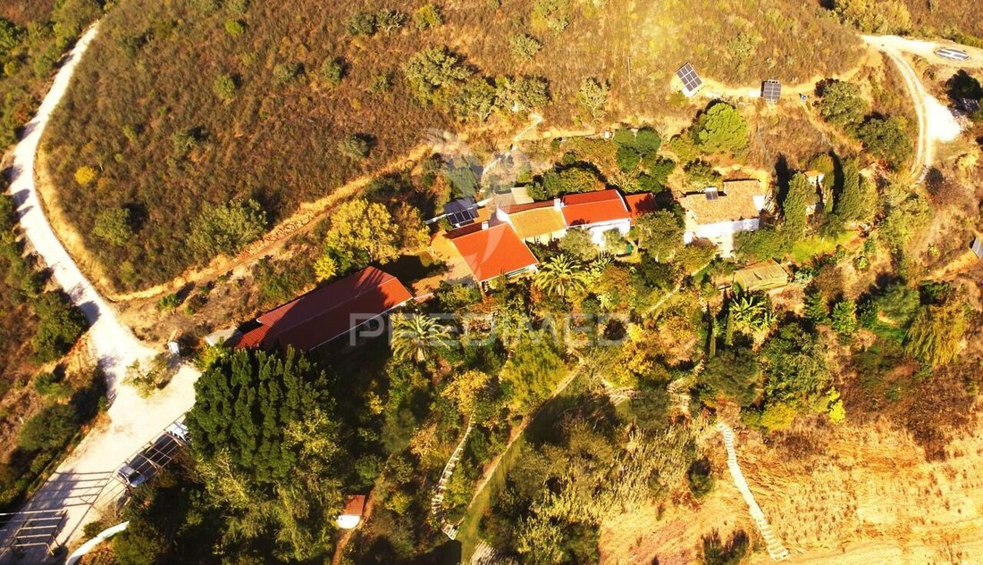 Farm Ranch in Santa Clara-a-Velha, Portugal 4 - 14535736
