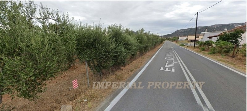 Land in Laconia, Peloponnese, Western Greece and the Ionian, Greece 2 - 14530649