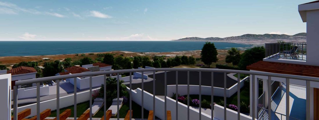 Villa in Neo Chorio, Paphos, Cyprus 2 - 14506315