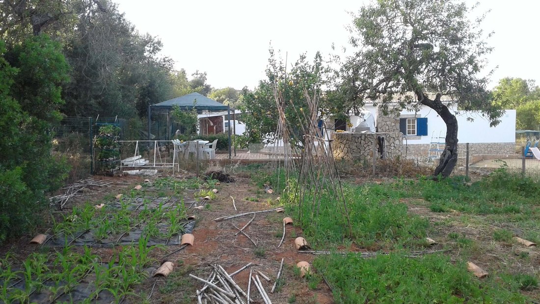 Rancho en Bensafrim e Barao de Sao Joao, Algarve, Portugal 3 - 14538053