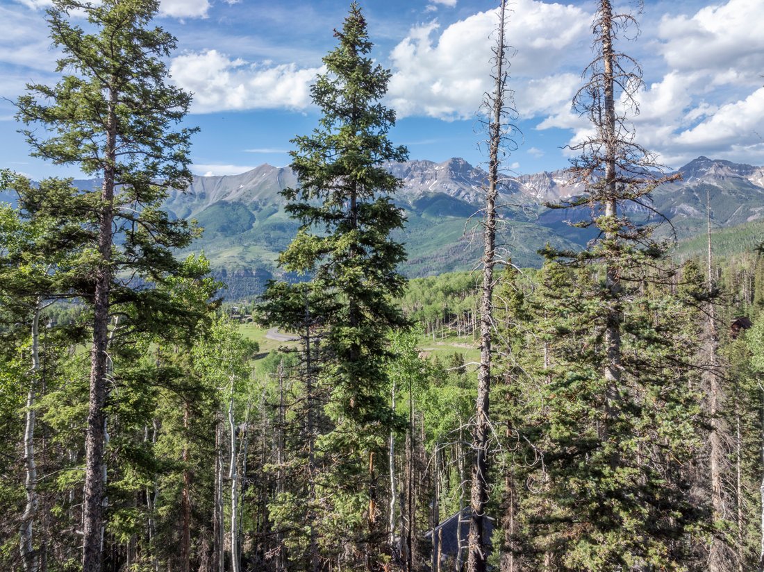 Land in Mountain Village, Colorado, United States 3 - 14404464