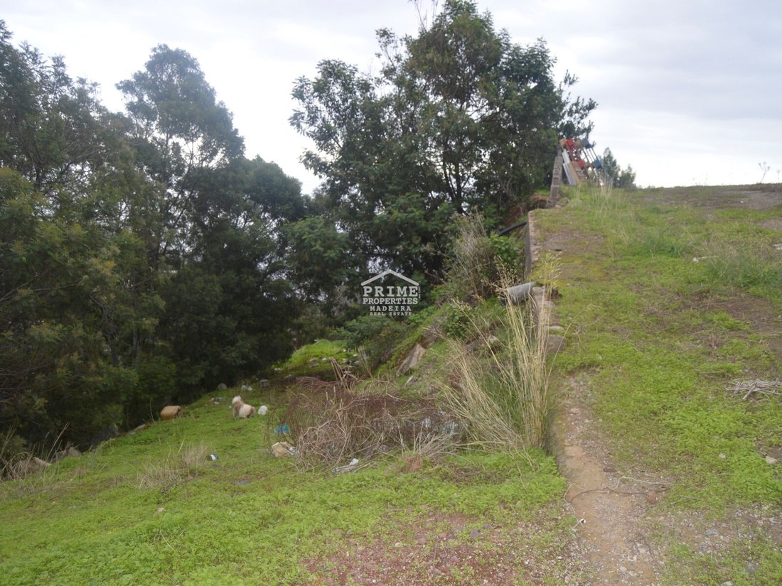Land in Santa Cruz, Autonome Region Madeira, Portugal 4 - 14538062