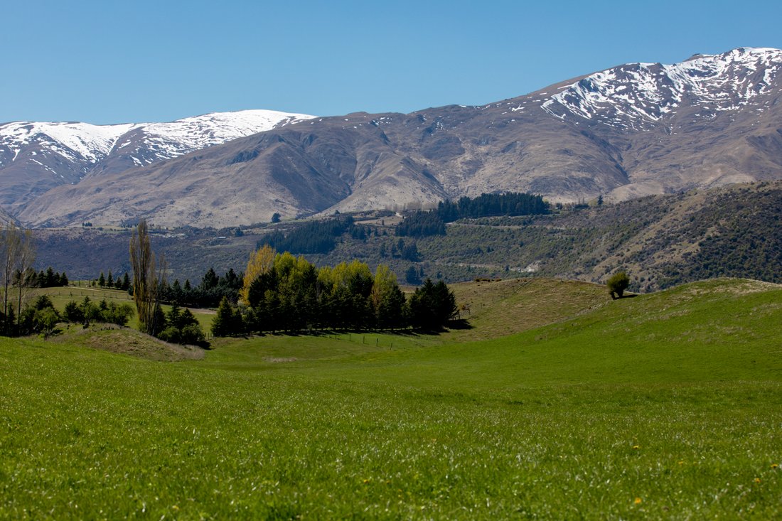 Estate in Arrow Junction, Otago, New Zealand 4 - 14539285