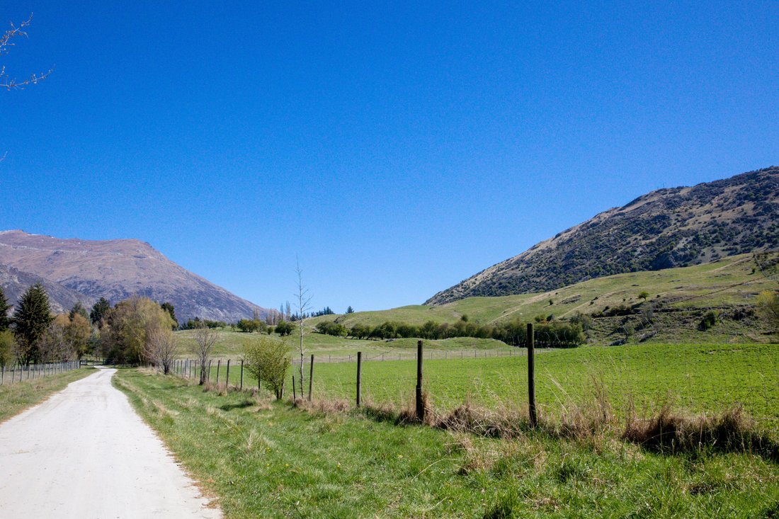 Estate in Arrow Junction, Otago, New Zealand 3 - 14539285
