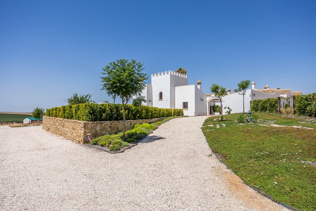 House in Casco Antiguo, Seville, Spain 4 - 14540631