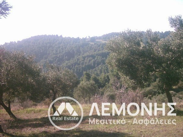 Land in Pallini Municipal Unit, Macedonia and Thrace, Greece 1 - 14541932