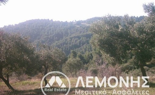 Land in Pallini Municipal Unit, Macedonia and Thrace, Greece 1