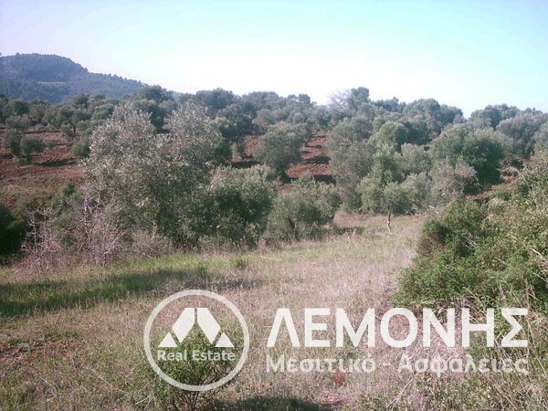 Land in Pallini Municipal Unit, Macedonia and Thrace, Greece 5 - 14541932