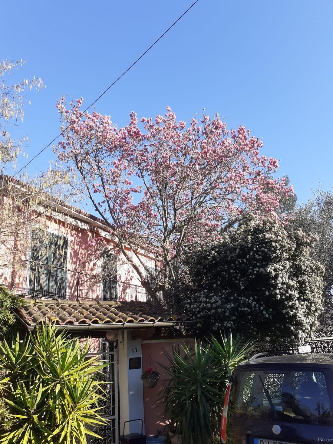 Villa in Stadium - Sant'Antonio - Marasio, Marina di Carrara, Tuscany 3 - 14542581
