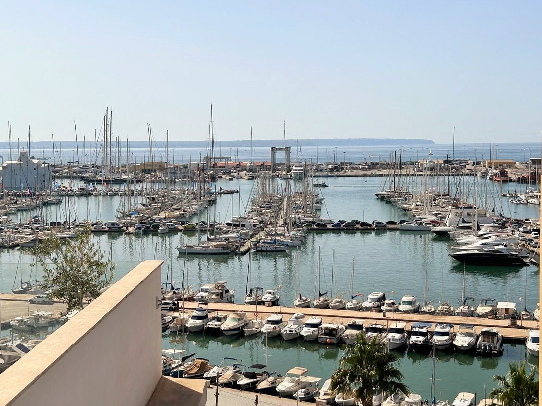 Apartment in Palma, Balearic Islands, Spain 2 - 14541875