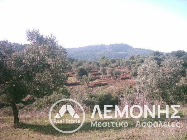 Land in Pallini Municipal Unit, Macedonia and Thrace, Greece 3 - 14541932