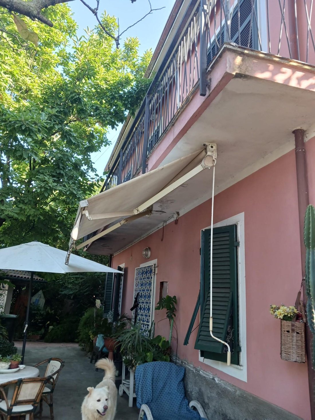 Villa in Stadium - Sant'Antonio - Marasio, Marina di Carrara, Tuscany 5 - 14542581