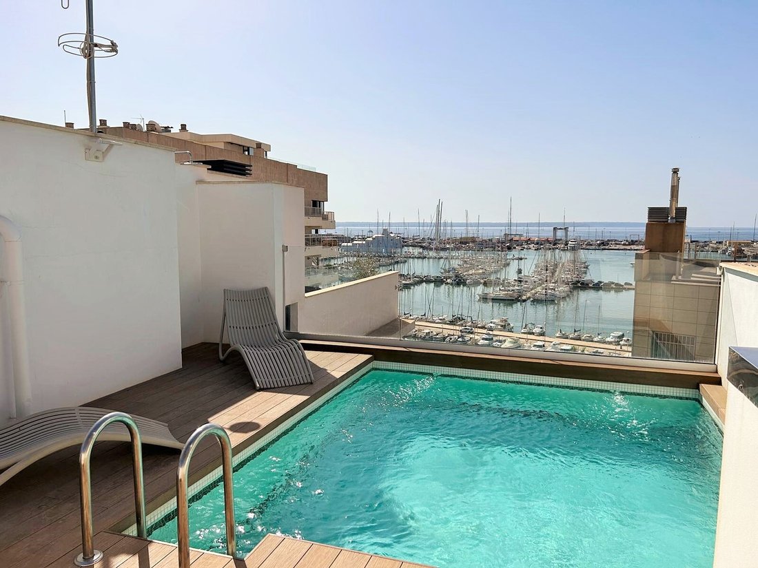 Apartment in Palma, Balearic Islands, Spain 1 - 14541875