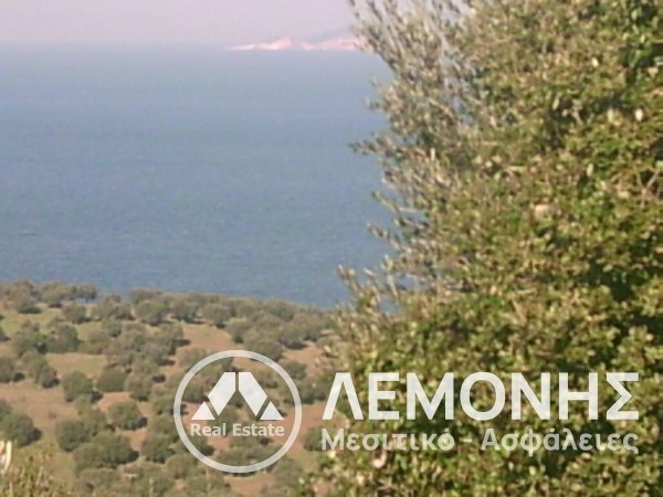 Land in Pallini Municipal Unit, Macedonia and Thrace, Greece 4 - 14541932