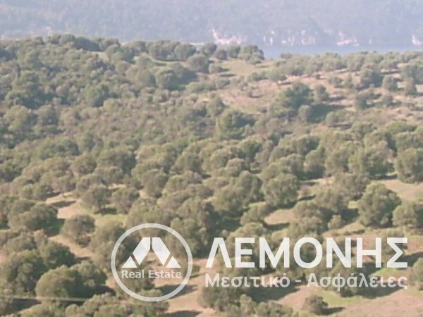Land in Pallini Municipal Unit, Macedonia and Thrace, Greece 2 - 14541932