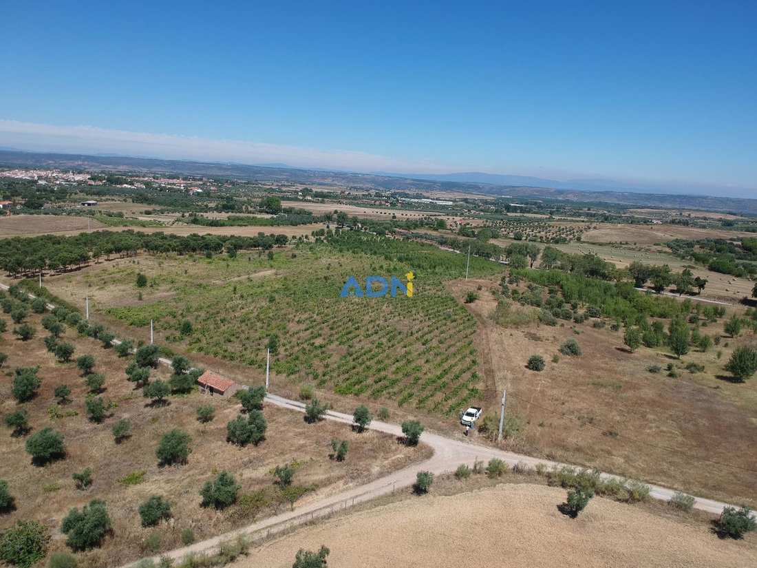 Land in Idanha-a-Nova e Alcafozes, Castelo Branco District, Portugal 5 - 14514682