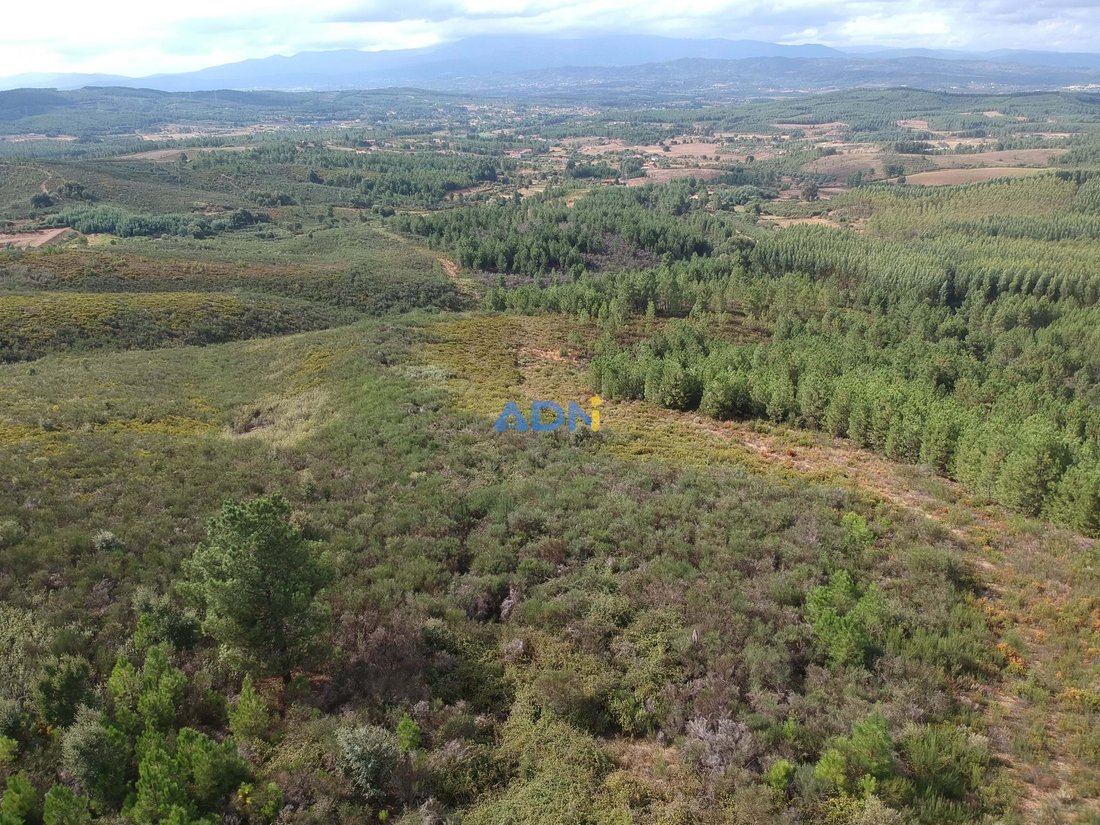 Land in Enxames, Castelo Branco District, Portugal 2 - 13235226