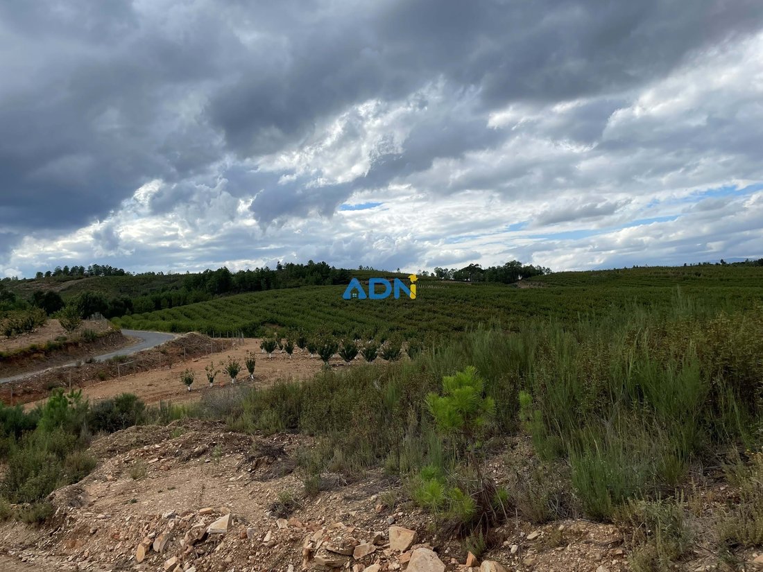 Land in Enxames, Castelo Branco District, Portugal 5 - 13235226